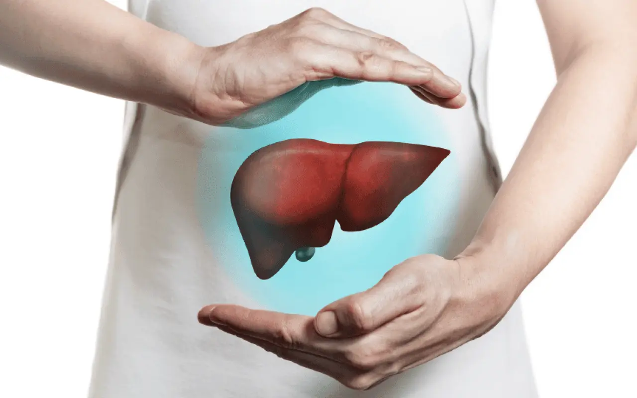 Pensi che il tuo fegato serva solo a digerire? Ecco le sue funzioni vitali che ignoravi