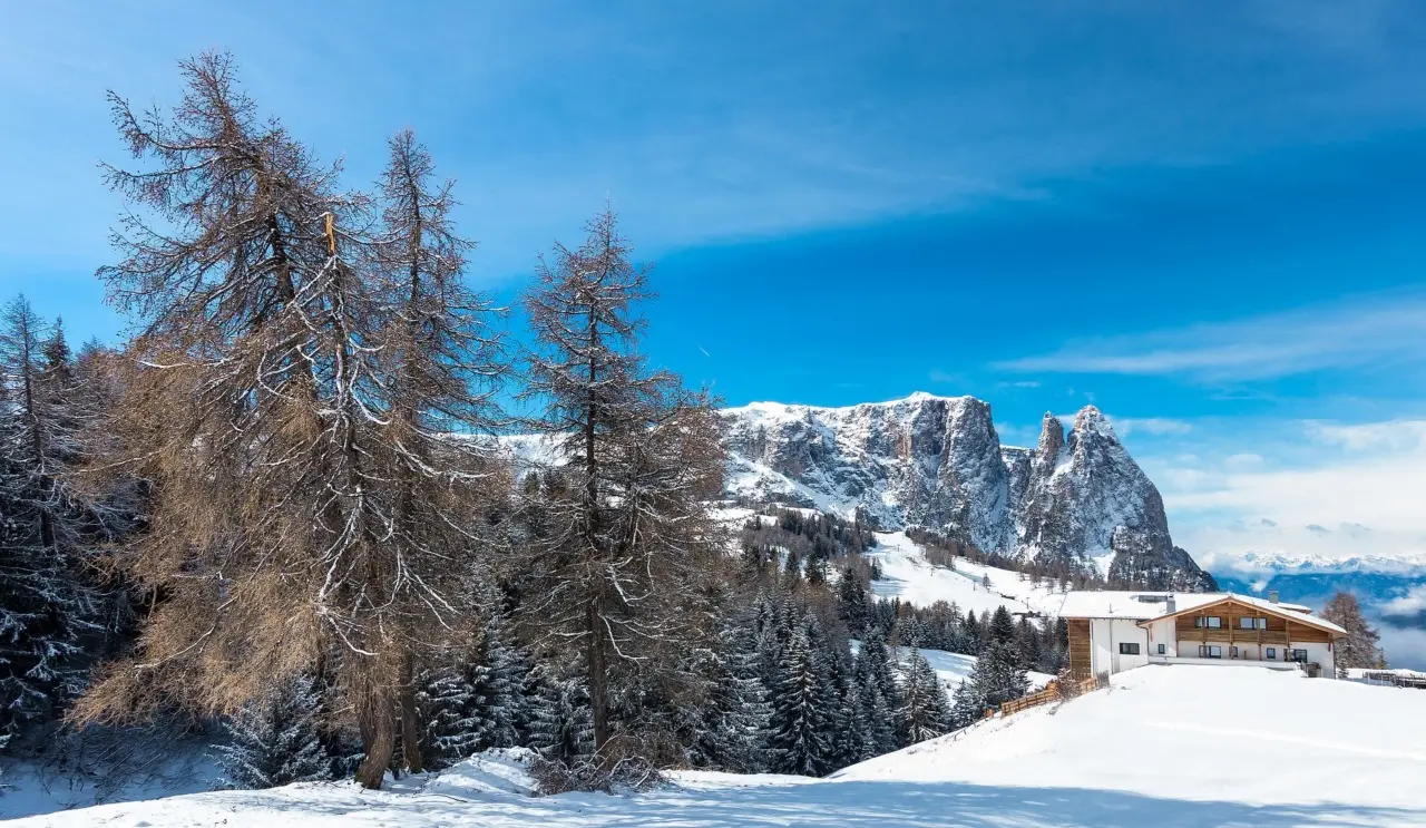 Non solo neve: ecco le esperienze spettacolari da vivere in Val di Sole in autunno
