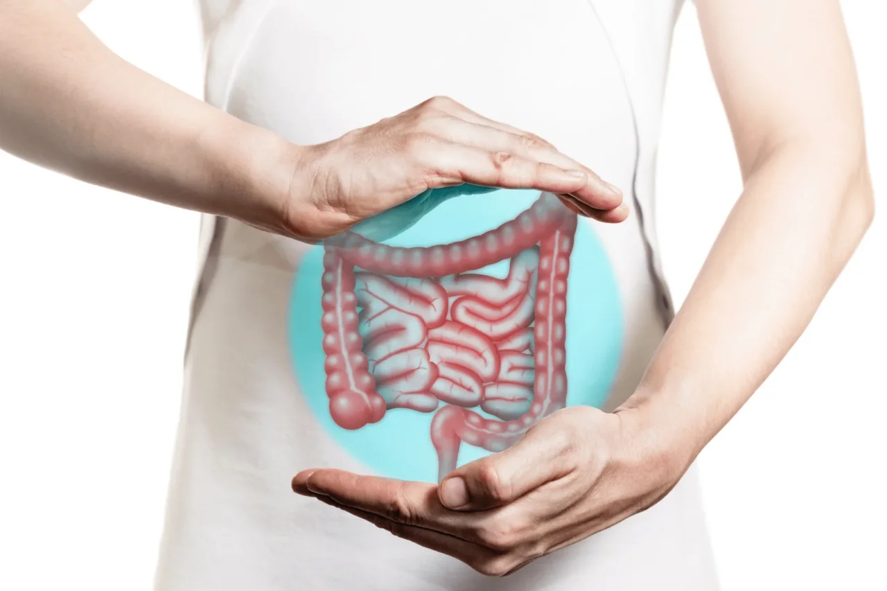 Il viaggio nascosto delle tue feci nell’intestino: ecco cosa succede davvero dentro di te