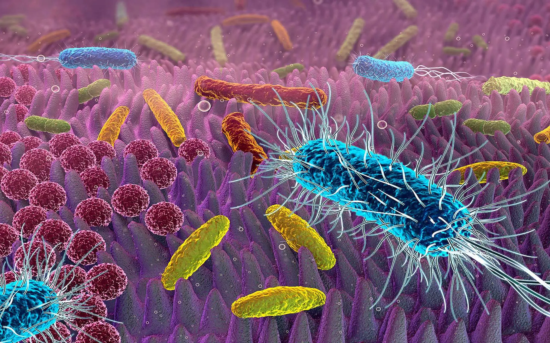 I tuoi divani e materassi sono pieni di germi: ecco il miglior disinfettante per tessuti