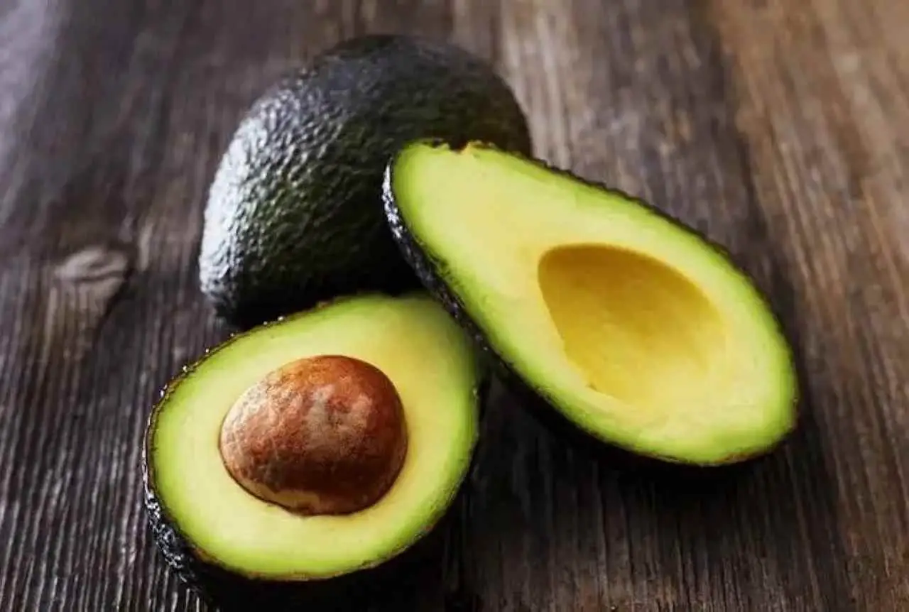 Vuoi coltivare un avocado in giardino? Ecco il clima minimo indispensabile perché cresca