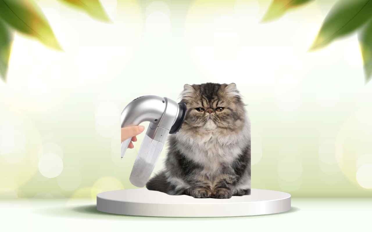 Dì addio ai peli in casa: prova SpazzolAmica per animali puliti e felici