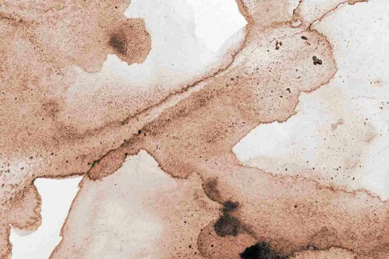 Come si fa a togliere le macchie di fango secco? Mai bagnarle, spazzola via tutto prima